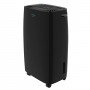 Cecotec BigDry 4000 Expert 2,5 L 205 W Negro